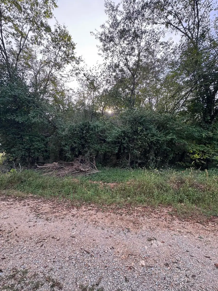 000 County Road 203, Couch, MO 65690 - #2