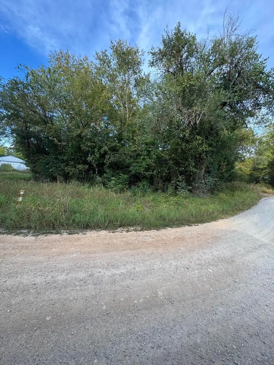 000 County Road 203, Couch, MO 65690 - #3