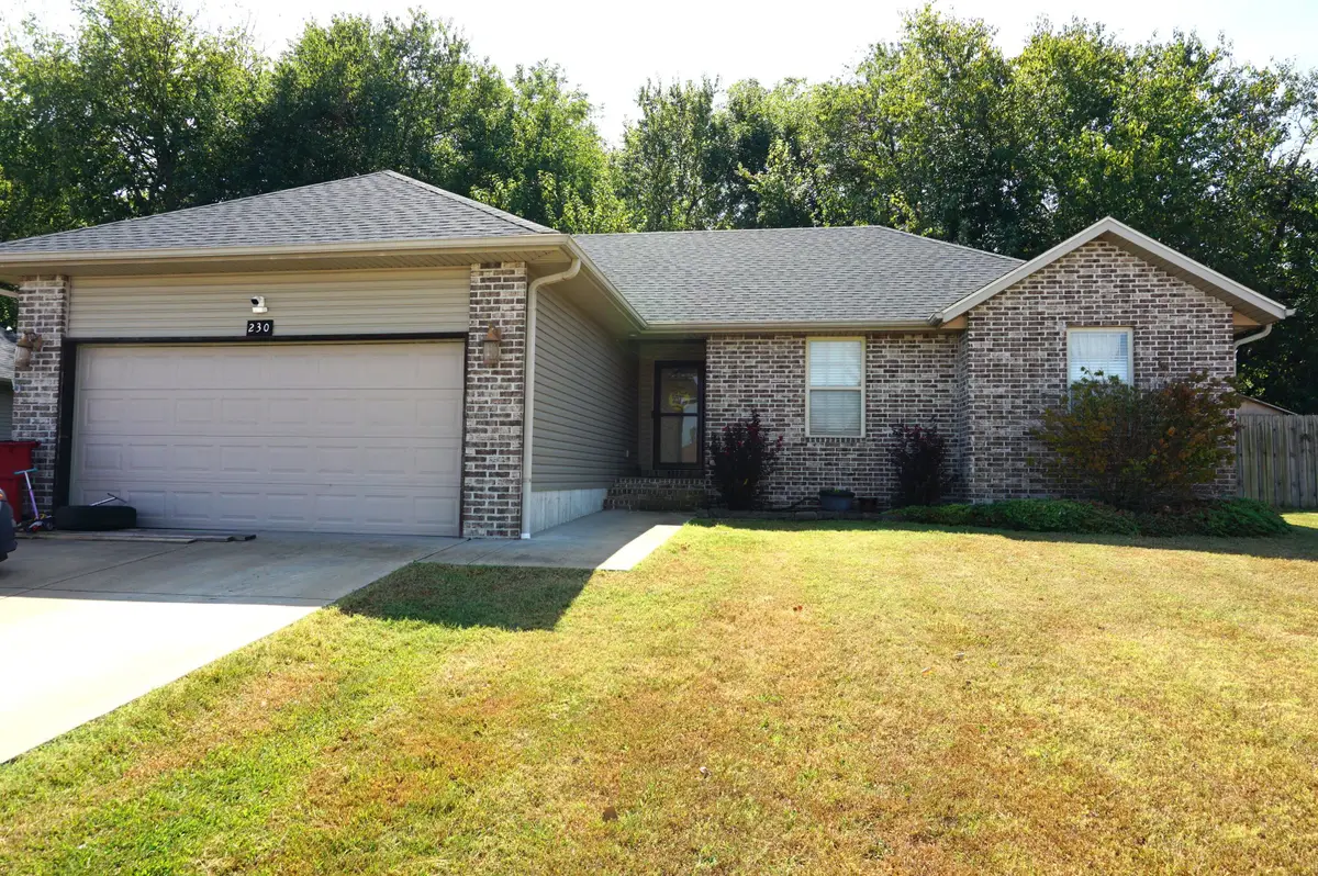 230 E Lapis Avenue, Republic, MO 65738 - #1