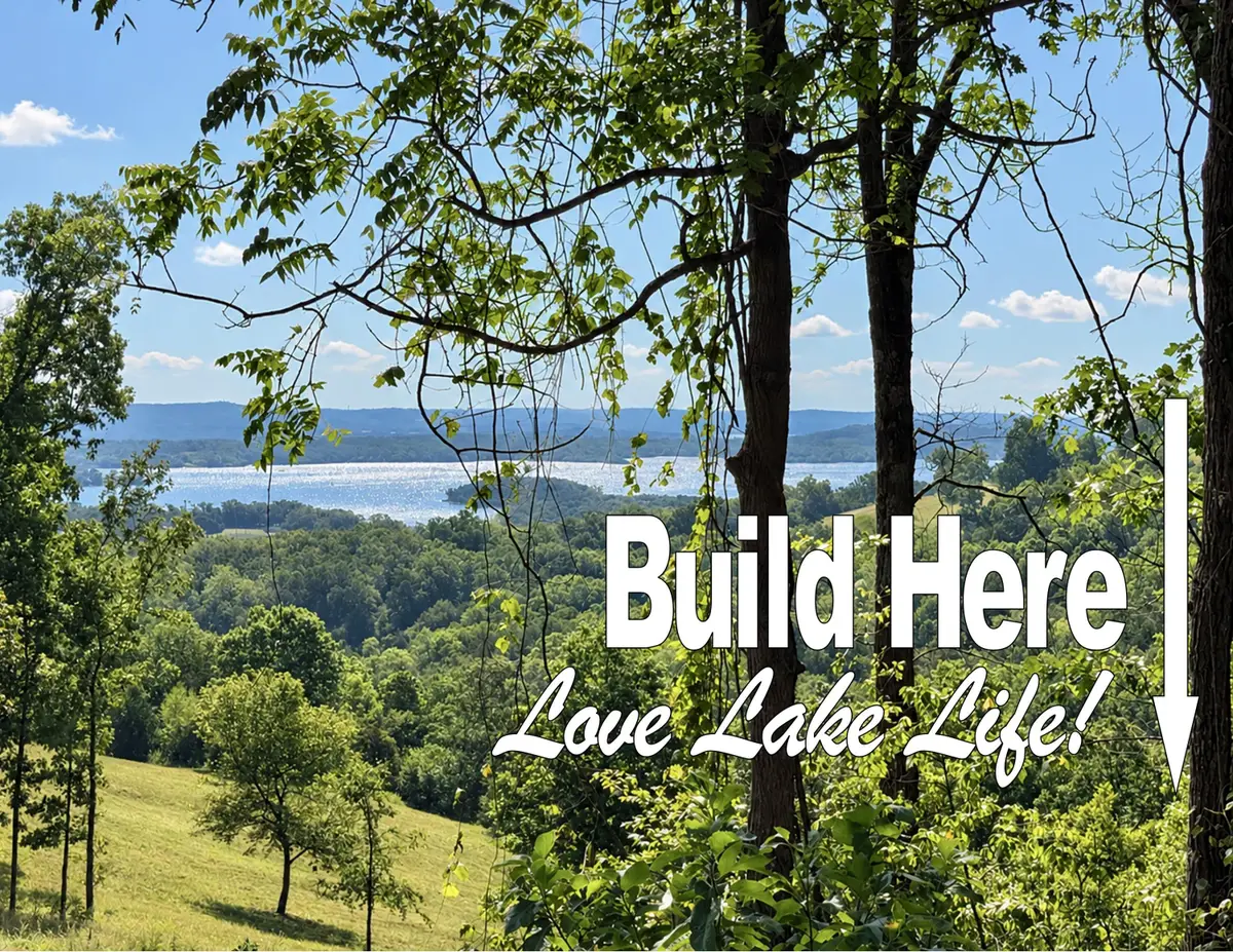 88 Lazarus Road, Reeds Spring, MO 65737 - #1