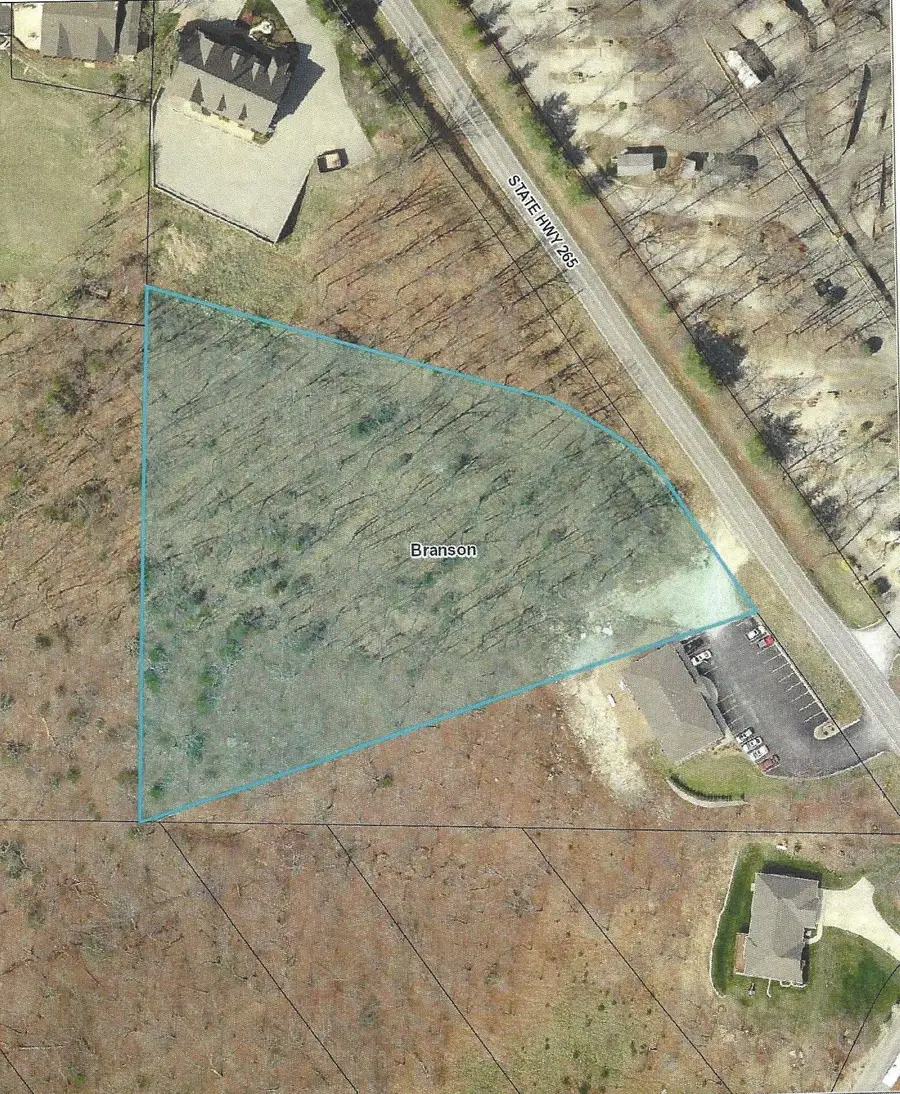 2291 -2a State Hwy 265, Branson, MO 65616 - #2