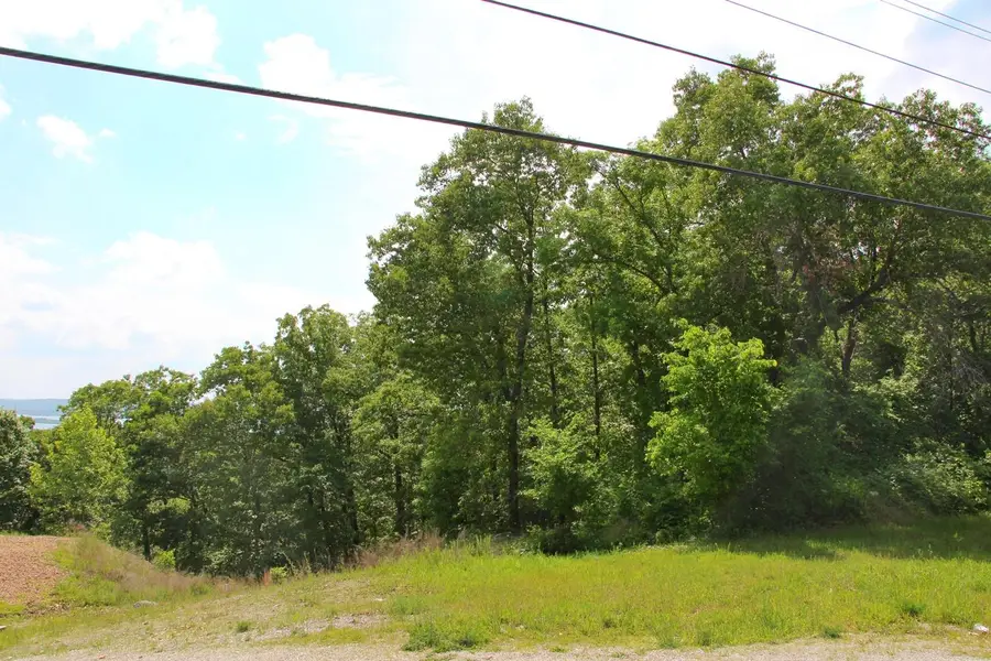 2291 -2a State Hwy 265, Branson, MO 65616 - #3