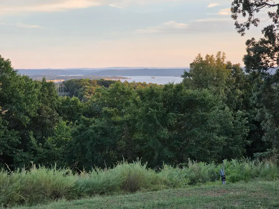 Lot 21 Compton Ridge Road, Branson, MO 65616 - #3