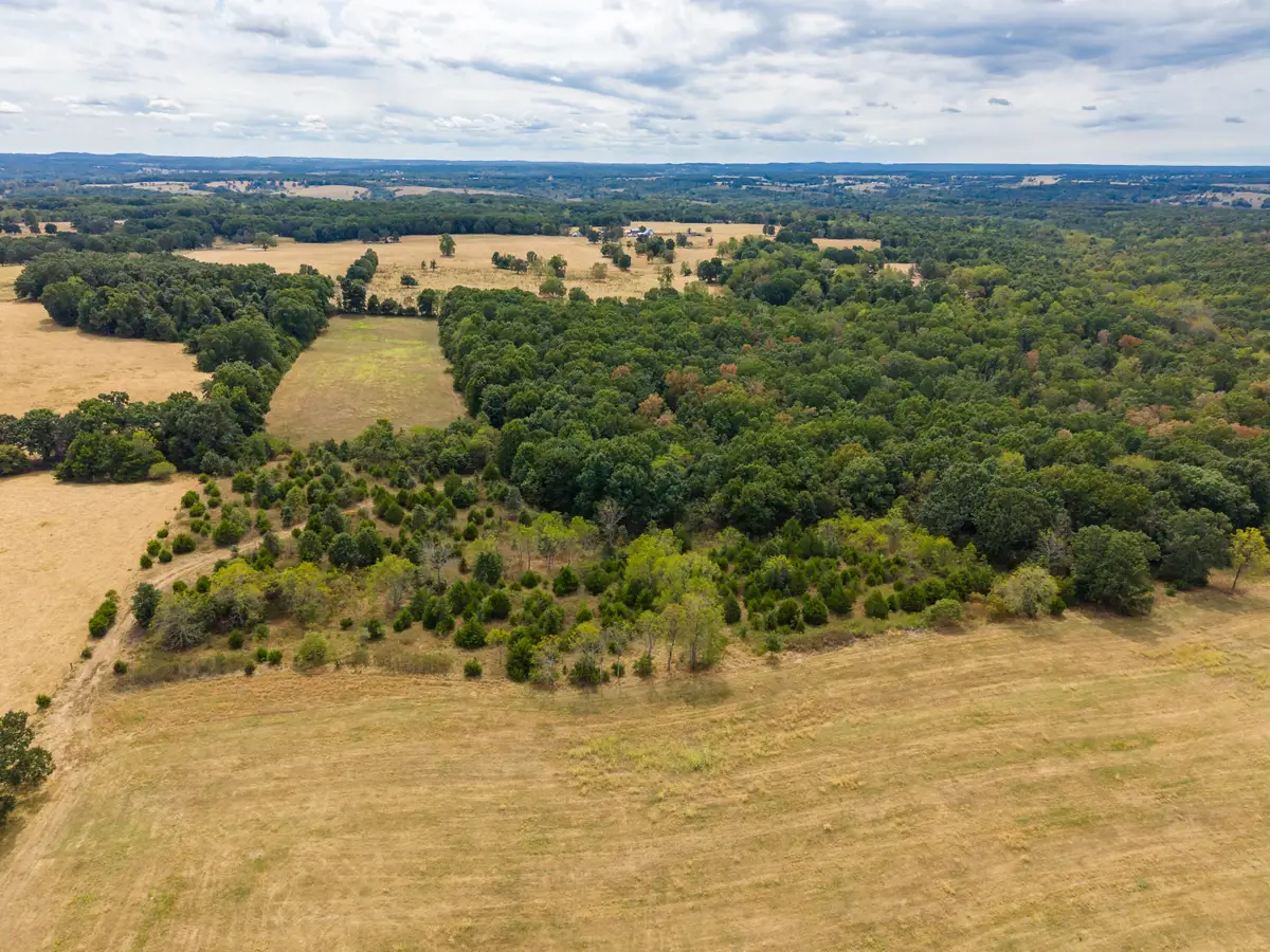 000 Highway 5, Hartville, MO 65667 - #1