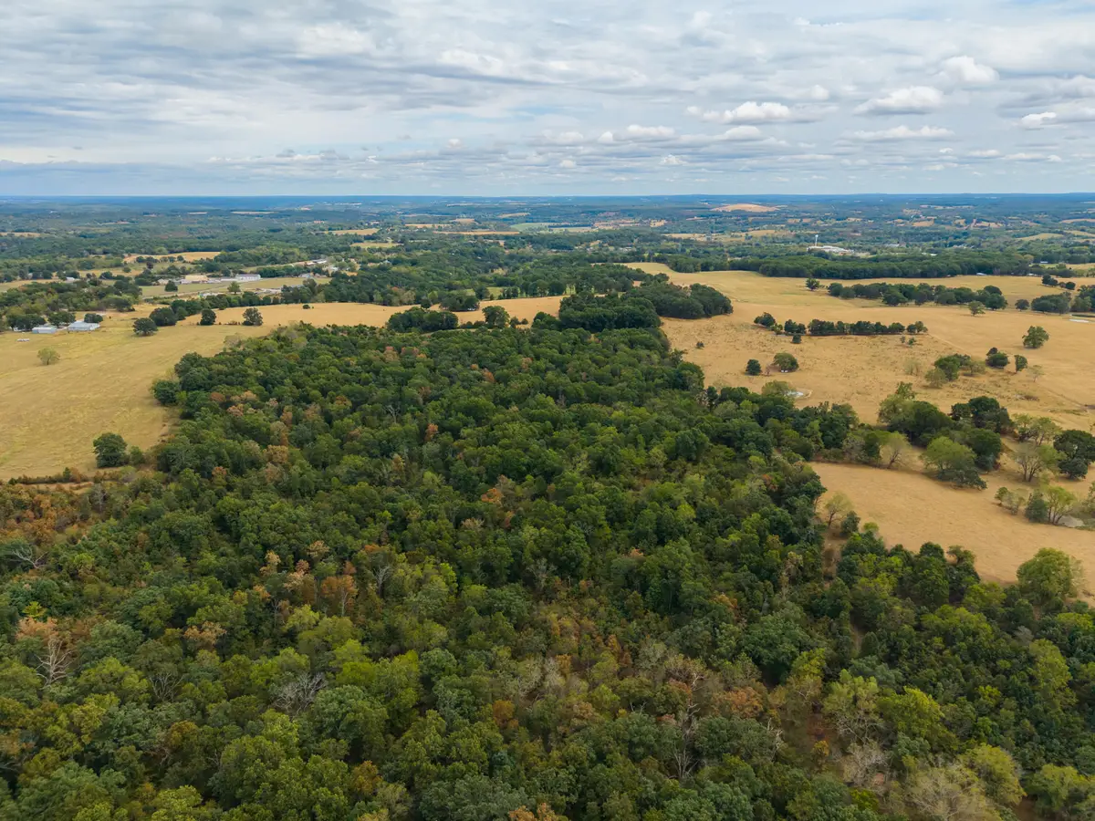 000 Highway 5, Hartville, MO 65667 - #1