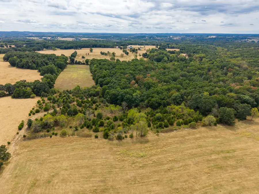 000 Highway 5, Hartville, MO 65667 - #2