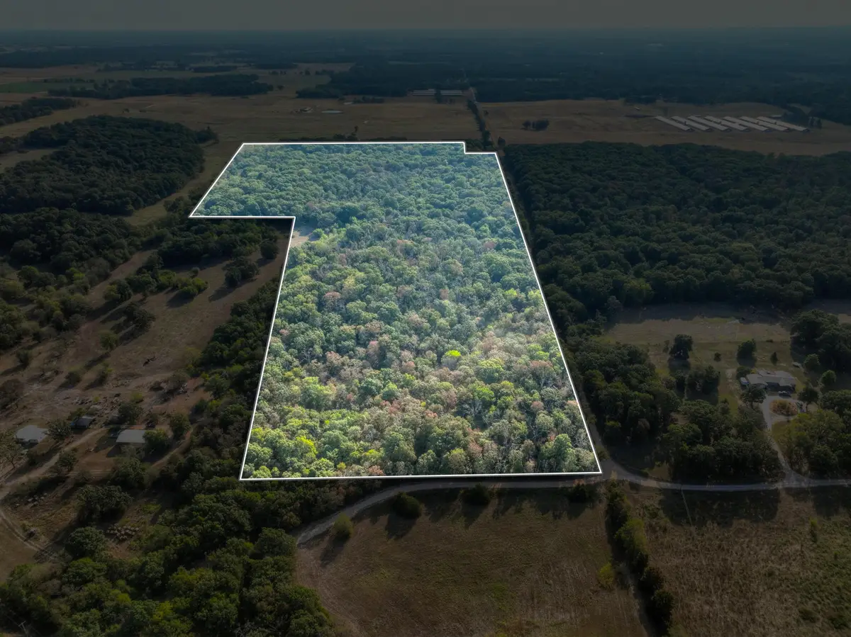 Tbd Foliage Road, Pierce City, MO 65723 - #1