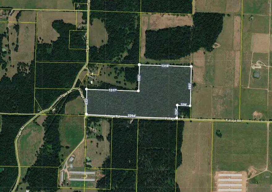 Tbd Foliage Road, Pierce City, MO 65723 - #2