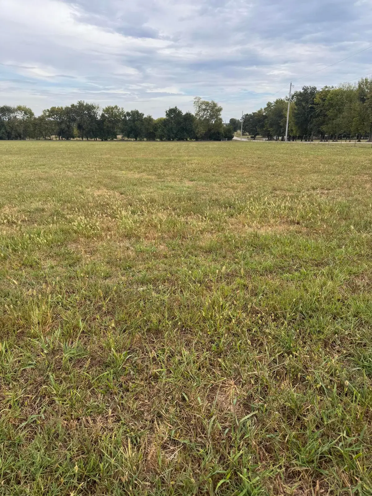 000 N Farm Road 177 #3, Springfield, MO 65803 - #1