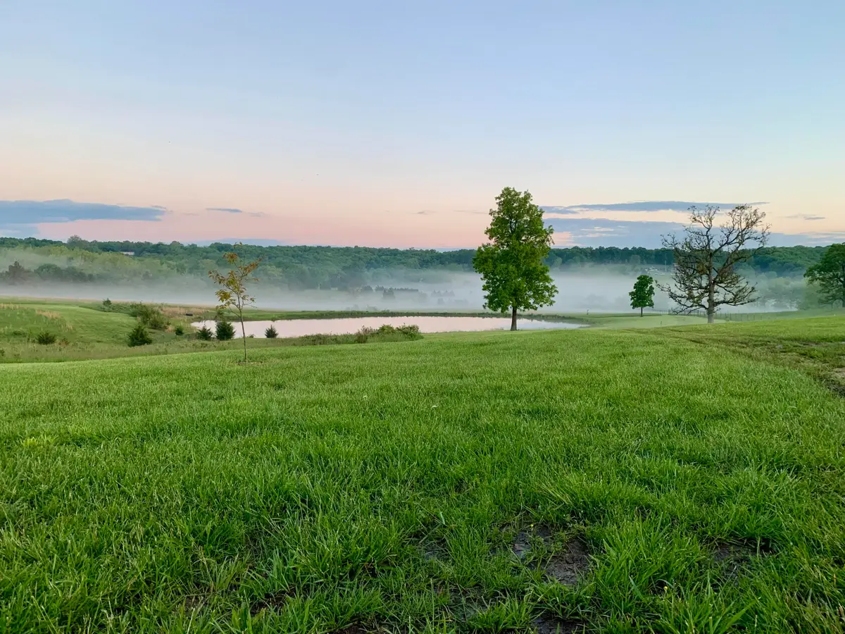 12 Fineview Lane, Long Lane, MO 65590 - #1