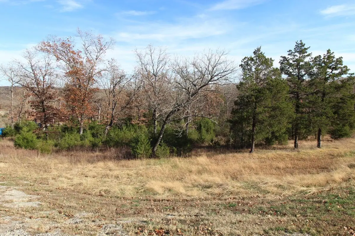 199 Forest Lake Drive, Branson West, MO 65737 - #1
