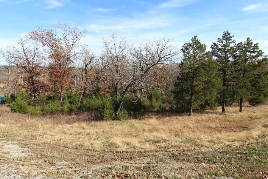 199 Forest Lake Drive, Branson West, MO 65737 - #3