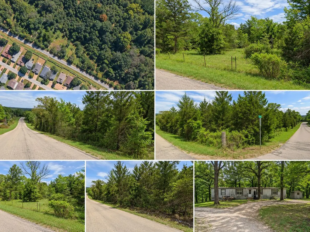 140 Taneycomo Road, Branson, MO 65616 - #1