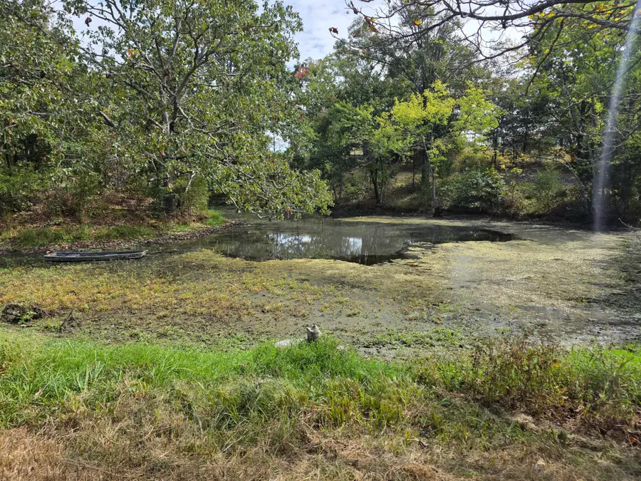 1454 County Road 1210, Willow Springs, MO 65793 - #3