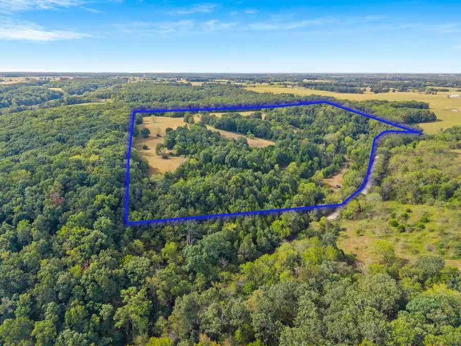 000 Bobcat Road, Rogersville, MO 65742 - #2