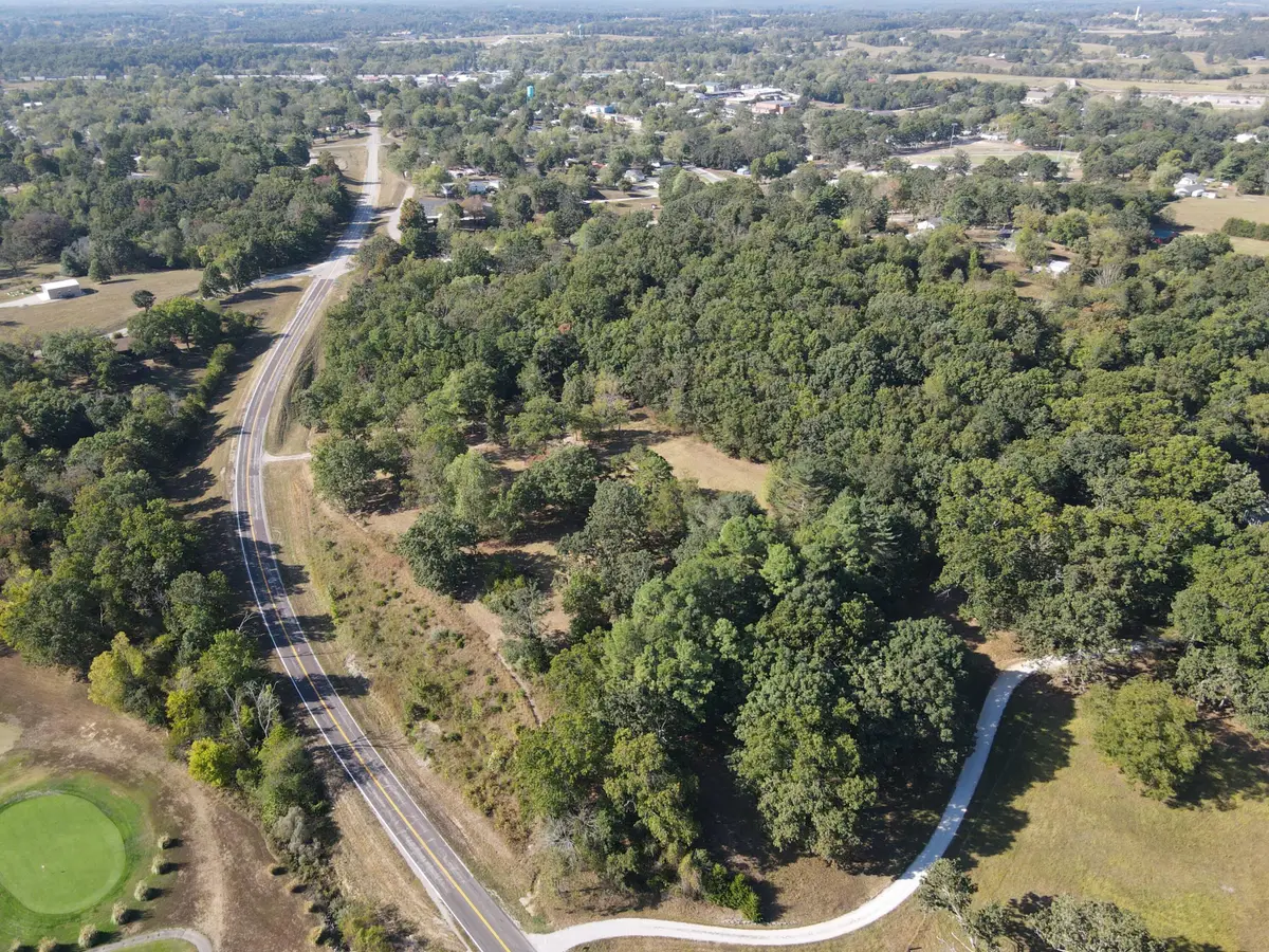1747 State Route 137, Willow Springs, MO 65793 - #1