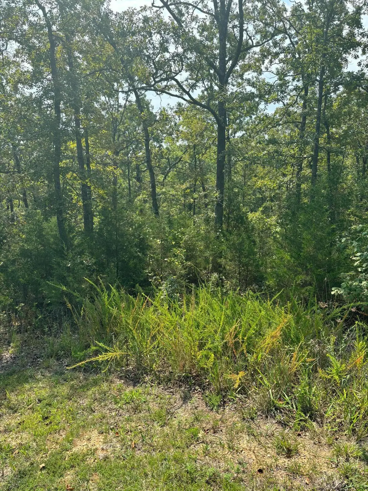 Lot #3 Fox Hollow Road, Branson West, MO 65737 - #1