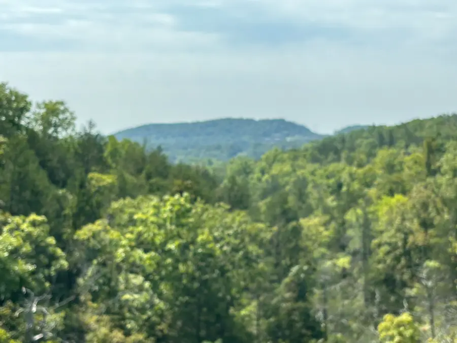 Lot #3 Fox Hollow Road, Branson West, MO 65737 - #2
