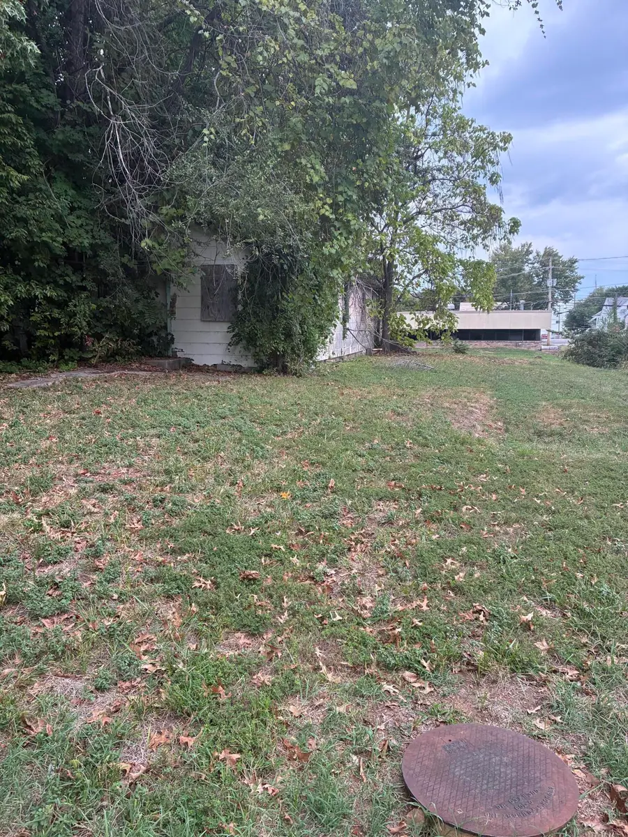 203 W Dallas Street, Mount Vernon, MO 65712 - #2