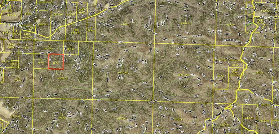 000 State Highway Uu Road, Chadwick, MO 65629 - #2