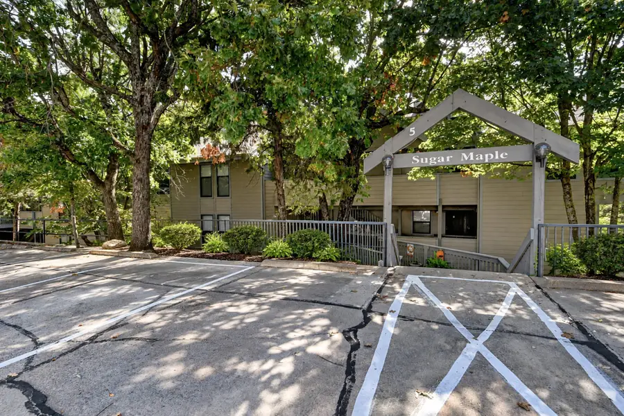 5 Treehouse Lane # 3, Branson, MO 65616 - #3