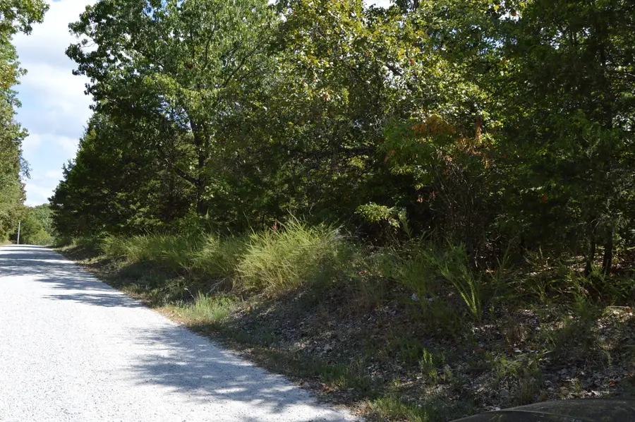 000 Waldon Ridge, Lampe, MO 65681 - #2
