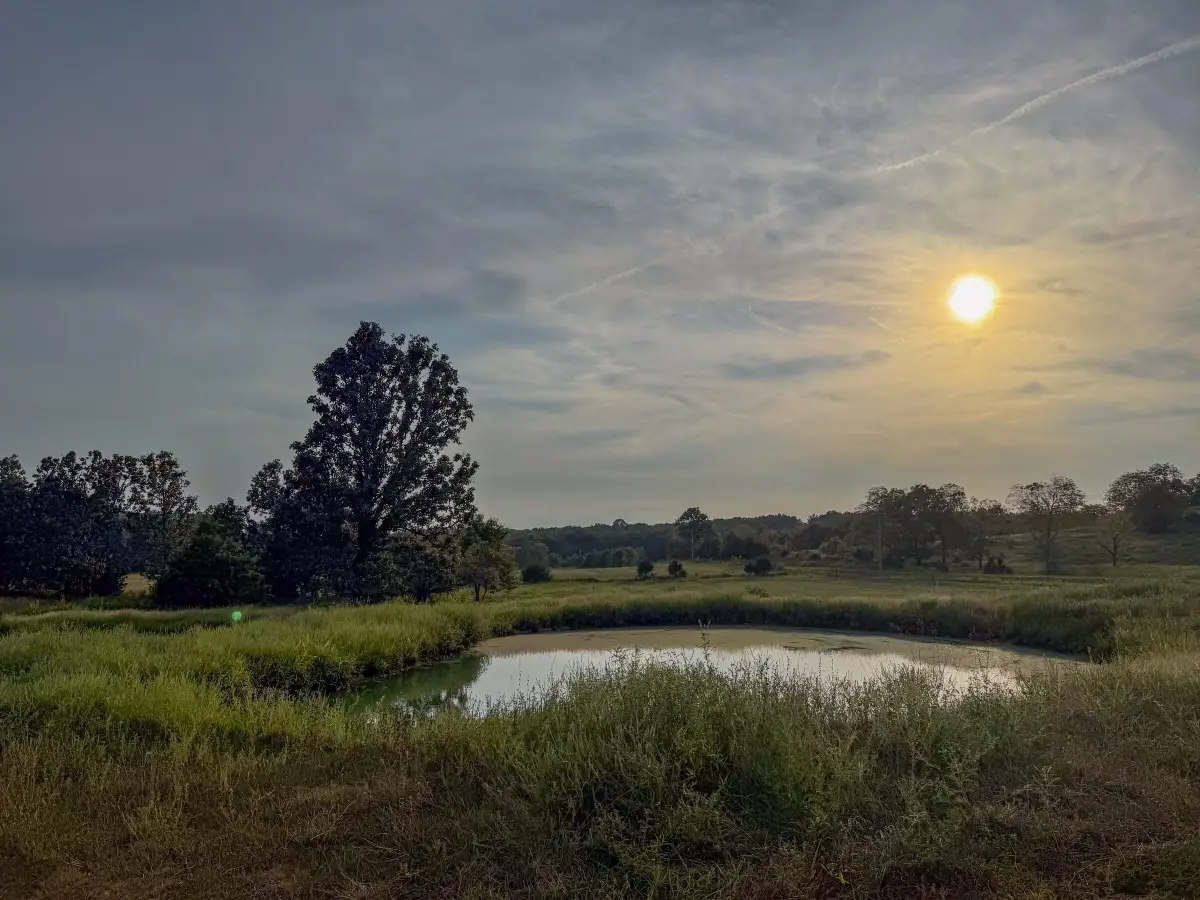 4420 State Route Dd, Willow Springs, MO 65793 - #1