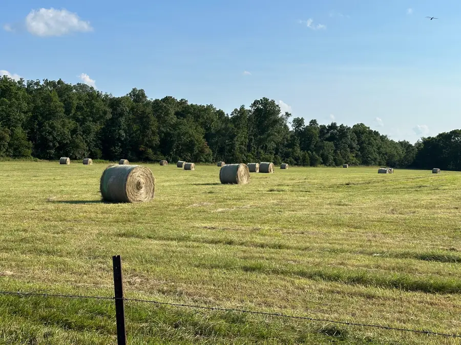 4420 State Route Dd, Willow Springs, MO 65793 - #3