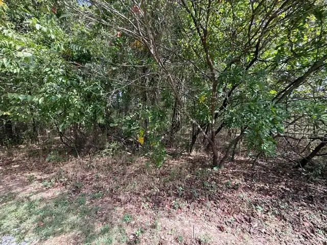 0 Walnut Circle, Flemington, MO 65650 - #3