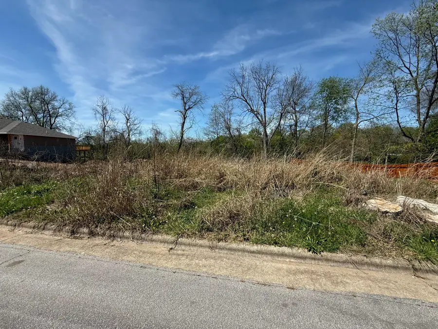 2745 S Meadowlark Avenue, Springfield, MO 65807 - #3