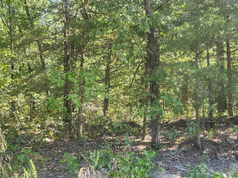 13239 County Road 290, Flemington, MO 65650 - #3