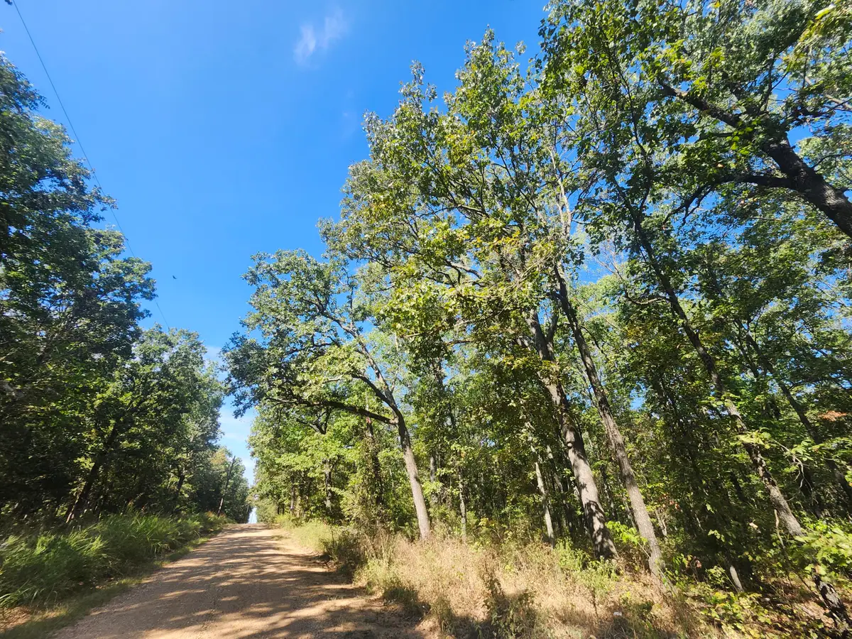 13239 County Road 290, Flemington, MO 65650 - #1