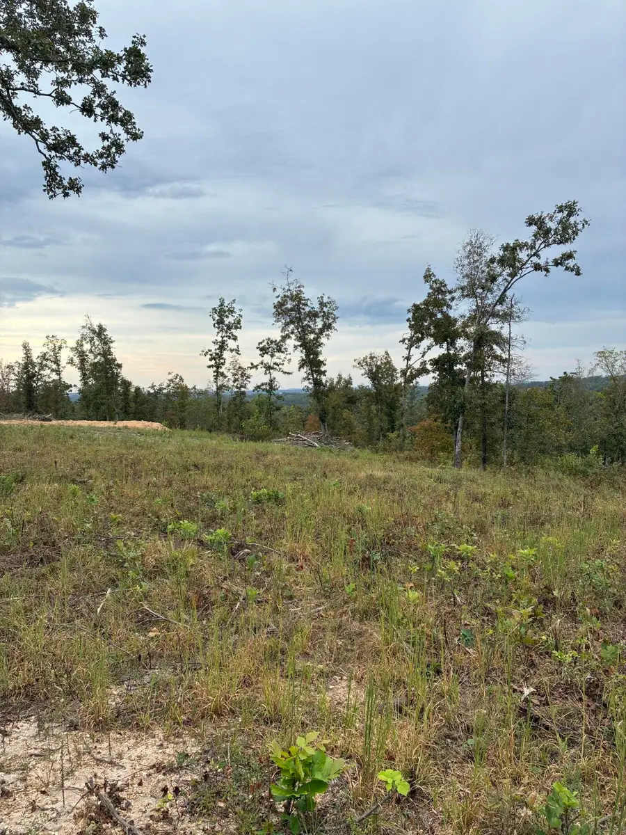 000 E State Highway 76, Ava, MO 65608 - #3