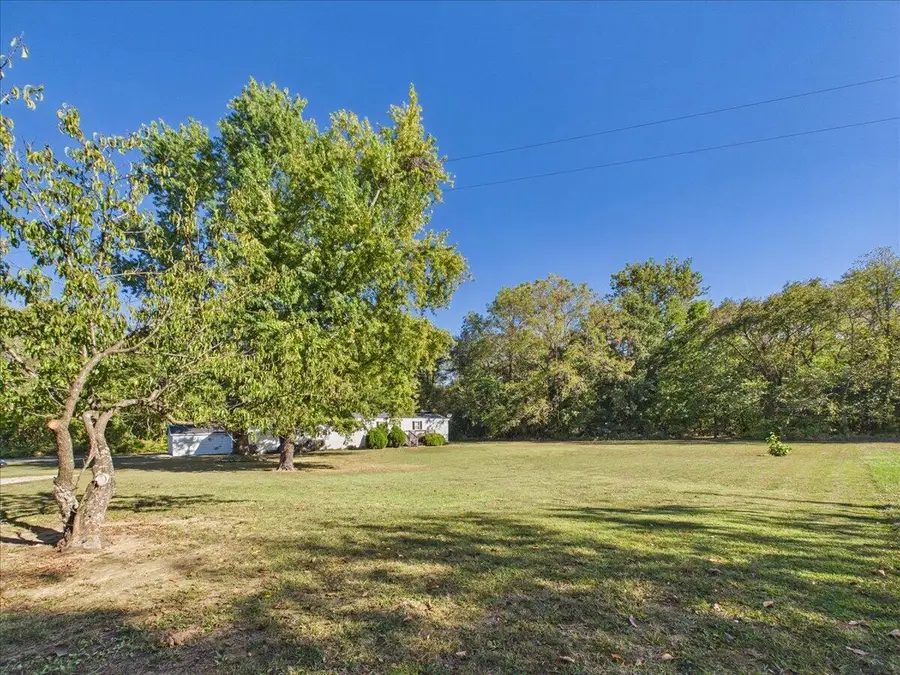 314 Rush Street, Pleasant Hope, MO 65725 - #2