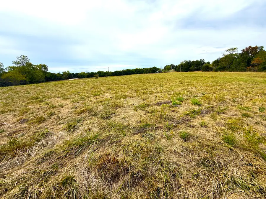 000 E Highway Tract 3, Eagle Rock, MO 65641 - #3