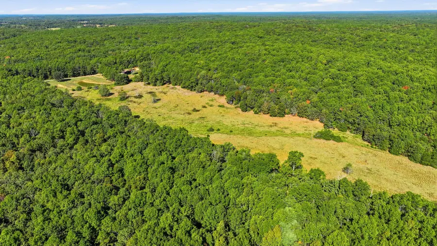 8969 County Road 445, Winona, MO 65588 - #3