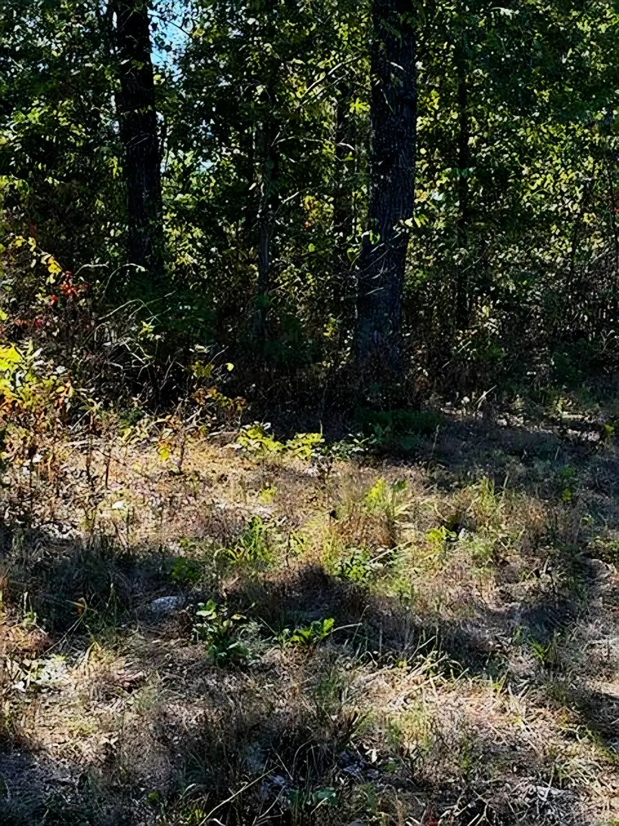 0000 Highway Yy, Cabool, MO 65689 - #2