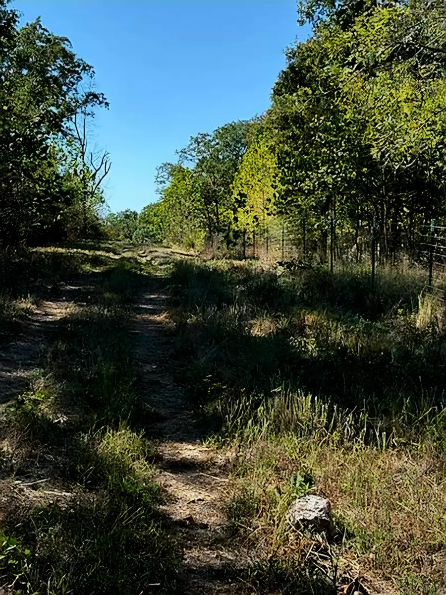 0000 Highway Yy, Cabool, MO 65689 - #3