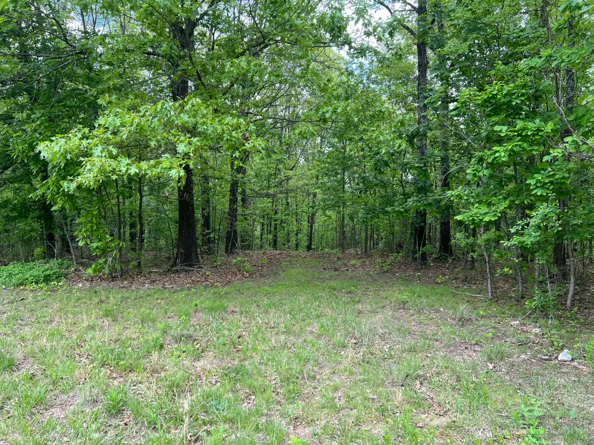 000 County Road 321, Ava, MO 65608 - #1