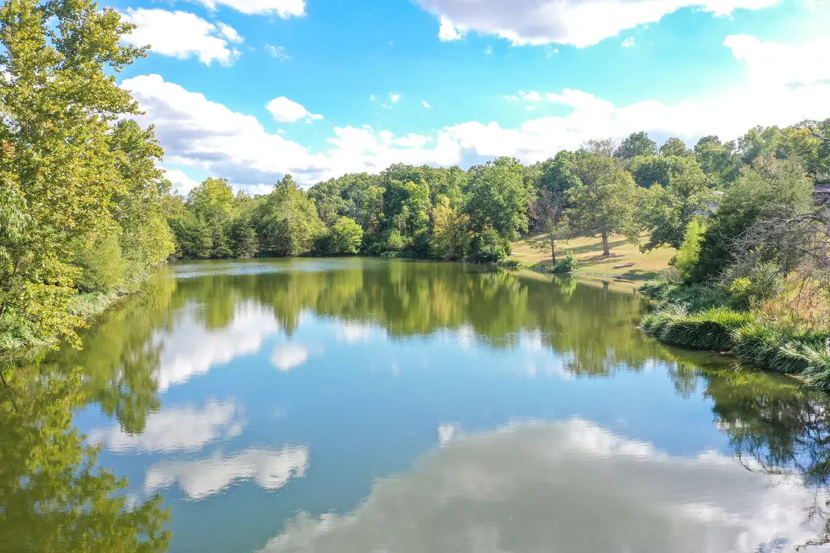 275 Carmen Lane, Branson, MO 65616 - #1