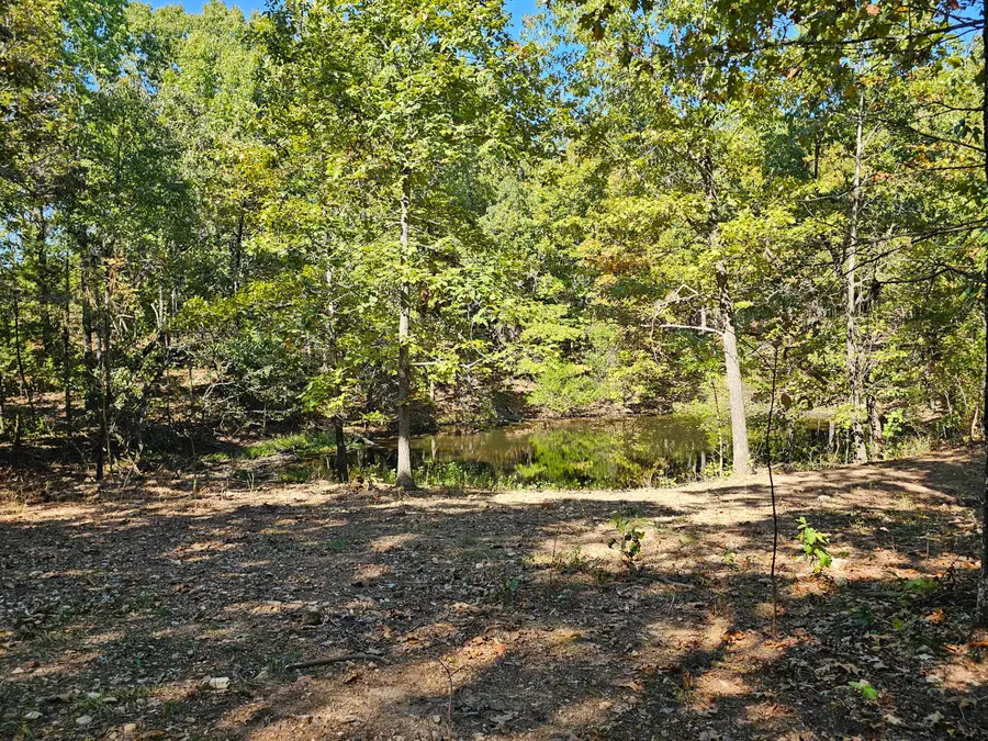 3375 Missouri 142, Moody, MO 65777 - #3