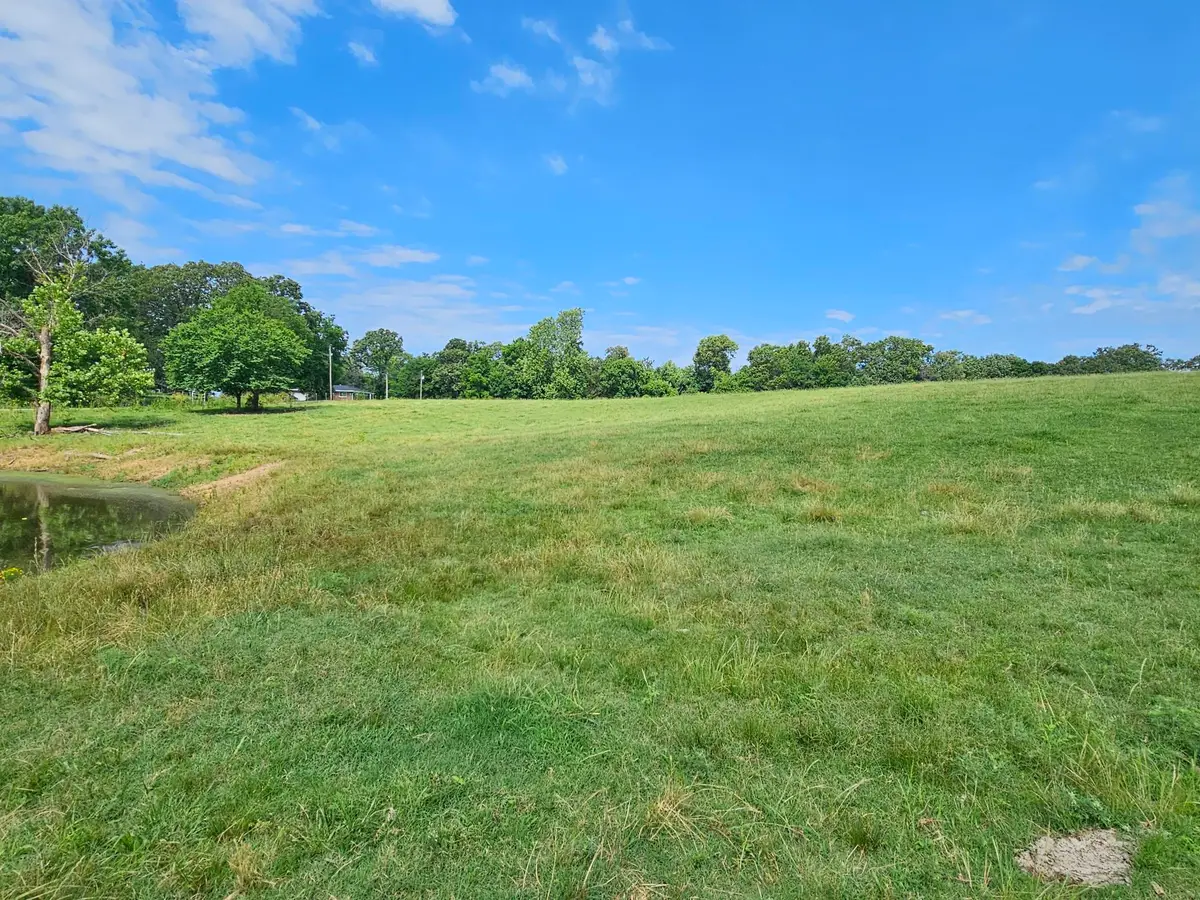 14 Acres State Highway F, Anderson, MO 64831 - #1