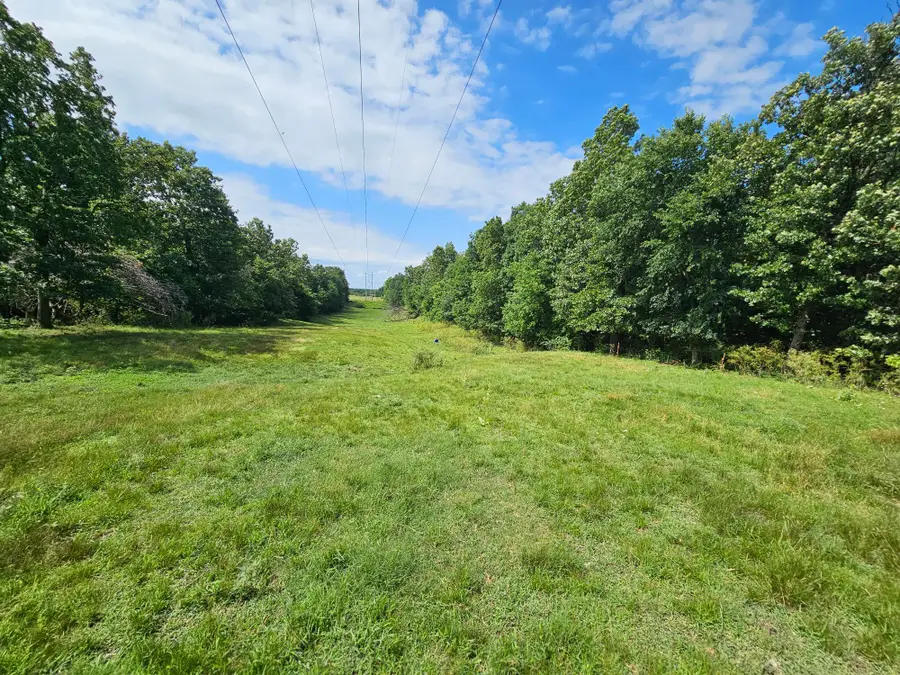14 Acres State Highway F, Anderson, MO 64831 - #3