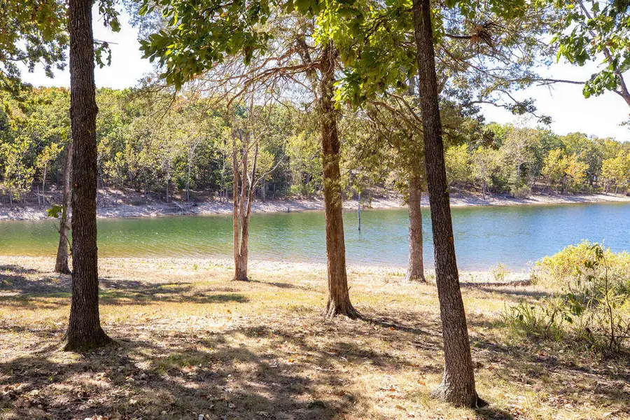 626 Gray Fox Road, Blue Eye, MO 65611 - #3