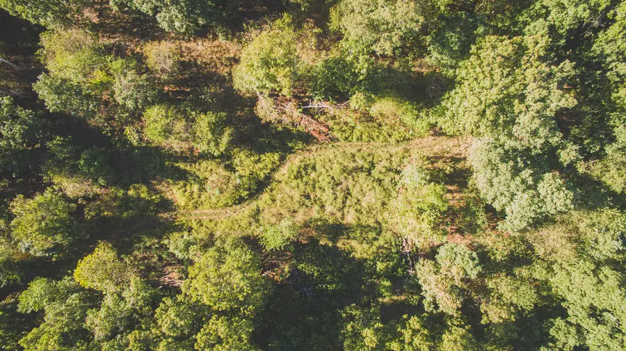 000 Lonnie Lane, Seneca, MO 64865 - #3