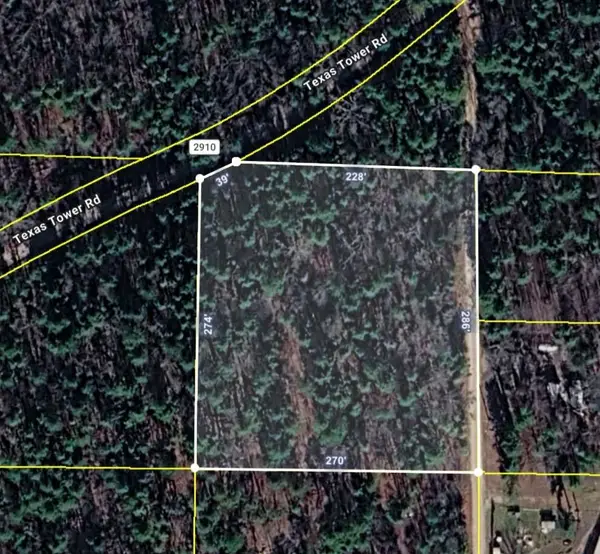 000 Texas Tower Road, Licking, MO 65542