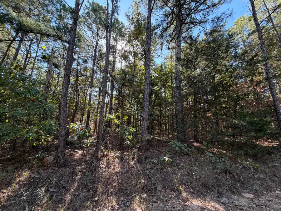000 Texas Tower Road, Licking, MO 65542 - #2