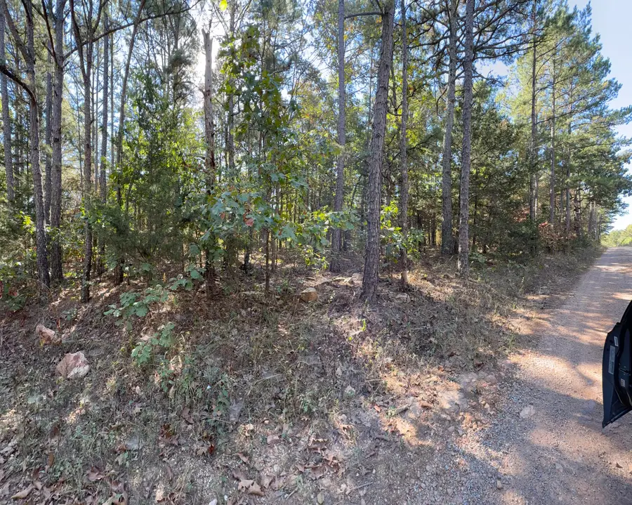 000 Texas Tower Road, Licking, MO 65542 - #3