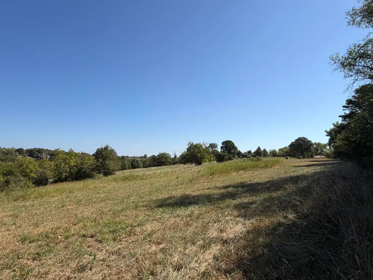001 Greentown Road, Buffalo, MO 65622 - #1