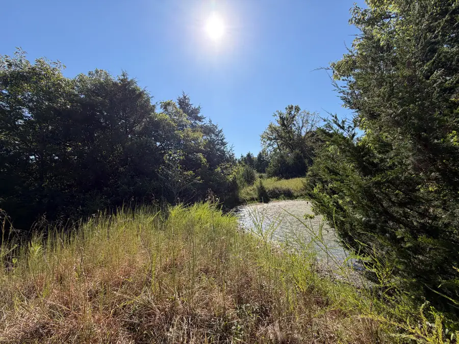 001 Greentown Road, Buffalo, MO 65622 - #2
